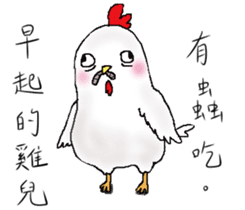 chicken chicken sticker #12360102