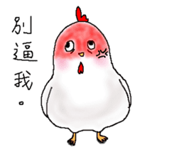chicken chicken sticker #12360114