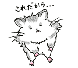 hamster Tommy Wolf sticker #12362008