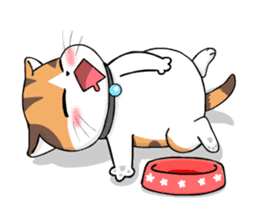 Soidow Cat Animated(Eng) sticker #12363055