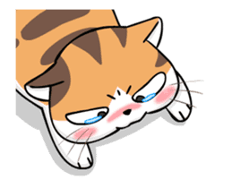 Soidow Cat Animated(Eng) sticker #12363056