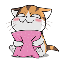 Soidow Cat Animated(Eng) sticker #12363060