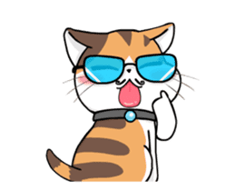 Soidow Cat Animated(Eng) sticker #12363063