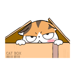 Soidow Cat Animated(Eng) sticker #12363065
