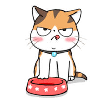 Soidow Cat Animated(Eng) sticker #12363066