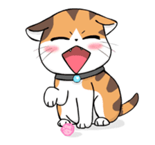 Soidow Cat Animated(Eng) sticker #12363068
