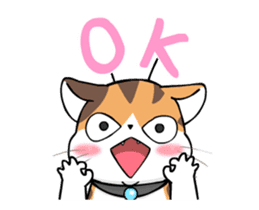Soidow Cat Animated(Eng) sticker #12363070