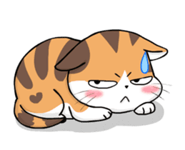 Soidow Cat Animated(Eng) sticker #12363073