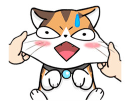 Soidow Cat Animated(Eng) sticker #12363074
