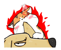 Soidow Cat Animated(Eng) sticker #12363075
