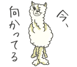 BAR for the person who likes an alpaca sticker #12364384