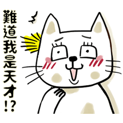 Funny cat and rabbit