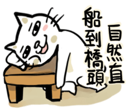 Funny cat and rabbit sticker #12365785