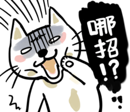 Funny cat and rabbit sticker #12365804
