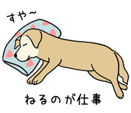 GOLDEN DOG 3(Old dog version) sticker #12365904