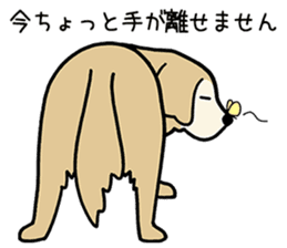 GOLDEN DOG 3(Old dog version) sticker #12365905