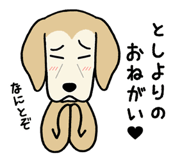 GOLDEN DOG 3(Old dog version) sticker #12365914