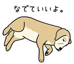 GOLDEN DOG 3(Old dog version) sticker #12365933