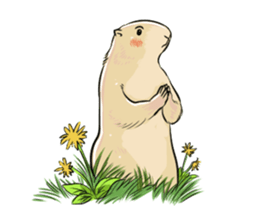 A Marmot's Day sticker #12367715
