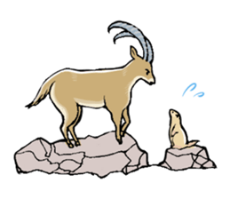 A Marmot's Day sticker #12367717