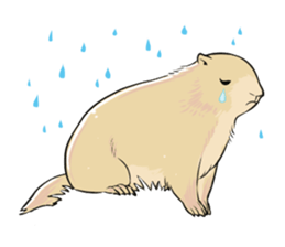 A Marmot's Day sticker #12367719