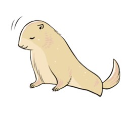 A Marmot's Day sticker #12367737
