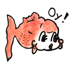 KINGYO Goldfishes sticker #12368142