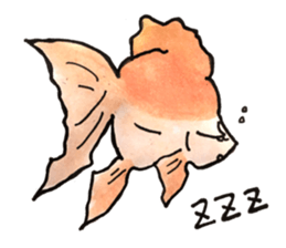 KINGYO Goldfishes sticker #12368162