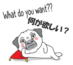 Wise Guy Pug sticker #12368383