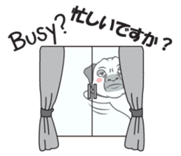 Wise Guy Pug sticker #12368384