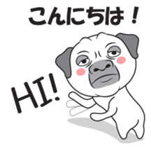 Wise Guy Pug sticker #12368387