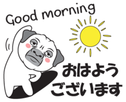 Wise Guy Pug sticker #12368390