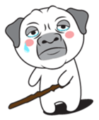 Wise Guy Pug sticker #12368392