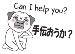 Wise Guy Pug sticker #12368393