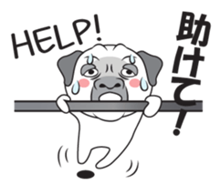 Wise Guy Pug sticker #12368395