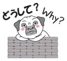 Wise Guy Pug sticker #12368402