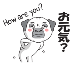 Wise Guy Pug sticker #12368403