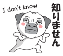 Wise Guy Pug sticker #12368407