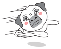 Wise Guy Pug sticker #12368409