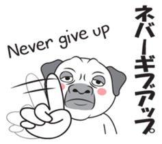 Wise Guy Pug sticker #12368410