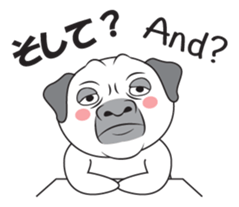 Wise Guy Pug sticker #12368411