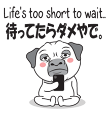 Wise Guy Pug sticker #12368413