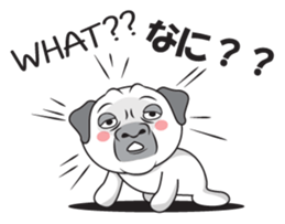 Wise Guy Pug sticker #12368417