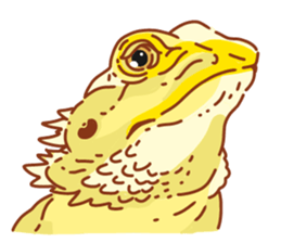 Bearded Dragon sticker #12369622
