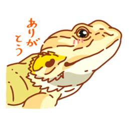 Bearded Dragon sticker #12369625