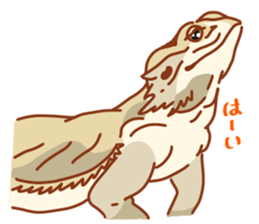 Bearded Dragon sticker #12369628