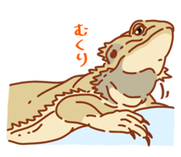Bearded Dragon sticker #12369631