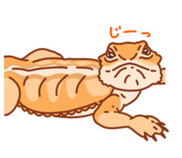 Bearded Dragon sticker #12369636