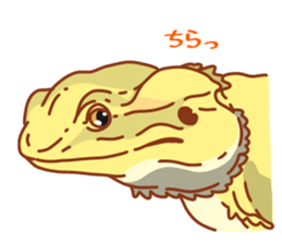 Bearded Dragon sticker #12369637