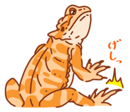 Bearded Dragon sticker #12369640